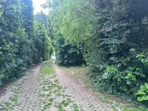 Dražba rodinného domu, Zlín, Štípská, 950 m2