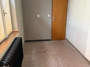 Pronájem obchodního prostoru, Prostějov, 200 m2