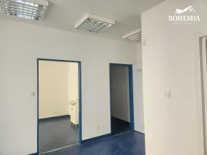 Pronájem obchodního prostoru, Teplice, 28. října, 80 m2