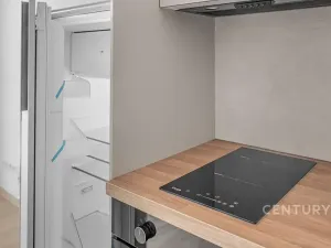 Pronájem bytu 1+kk, Milovice, 29 m2