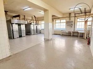 Pronájem komerční nemovitosti, Netolice, Mírové Náměstí, 500 m2