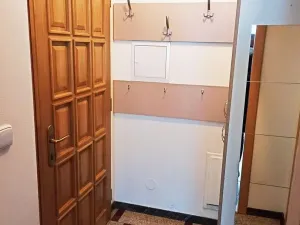 Pronájem bytu 1+kk, Praha - Podolí, Pravá, 35 m2
