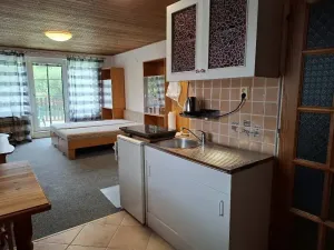 Pronájem bytu 1+kk, Brno, Viniční, 29 m2