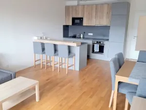Pronájem bytu 3+kk, Praha - Žižkov, Krásova, 70 m2