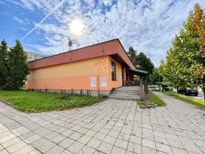 Prodej obchodního prostoru, Vamberk, Struha, 498 m2