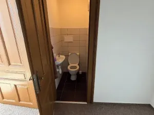 Prodej bytu 3+kk, Mladá Boleslav, Železná, 69 m2