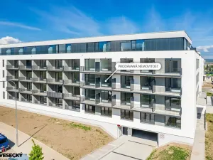 Prodej bytu 1+kk, Plzeň, Železná, 37 m2