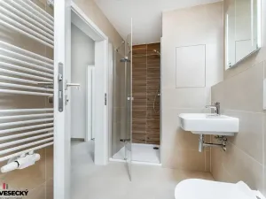 Prodej bytu 1+kk, Plzeň, Železná, 37 m2