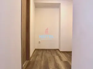Pronájem bytu 1+kk, Olomouc, Zeyerova, 36 m2