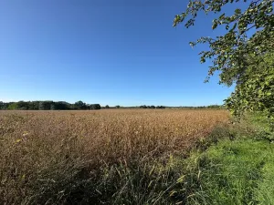 Prodej pozemku pro bydlení, Chocnějovice, 5680 m2
