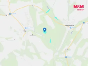 Prodej lesa, Bílá, 11944 m2