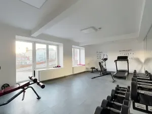 Pronájem bytu 2+kk, Praha - Vinohrady, Perucká, 40 m2