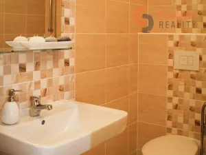 Prodej bytu 1+kk, Šakvice, Hlavní, 32 m2