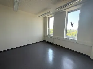 Pronájem kanceláře, Brno, Pražákova, 18 m2