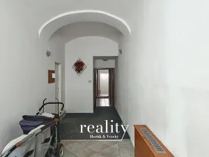 Prodej rodinného domu, Znojmo, Dolní Česká, 429 m2