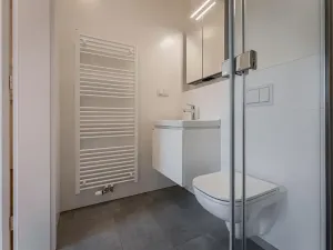 Pronájem bytu 2+kk, Praha - Žižkov, Seifertova, 46 m2