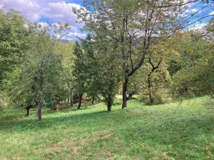 Prodej pozemku pro bydlení, Plavy, 1132 m2