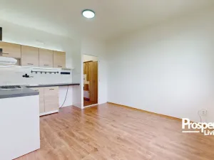 Prodej bytu 1+1, Ústí nad Labem - Střekov, Truhlářova, 37 m2