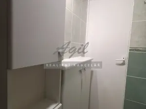Pronájem bytu 1+1, Mokrá-Horákov, 35 m2