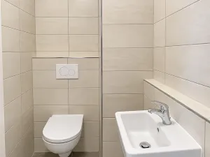 Pronájem bytu 2+kk, Plzeň, U Borských kasáren, 59 m2
