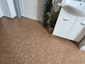 Pronájem ordinace, Mělník, Nová, 42 m2