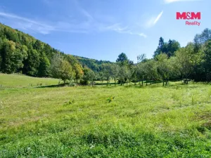 Prodej louky, Nový Hrozenkov, 2068 m2