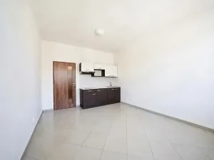 Prodej bytu 1+kk, Brno, Dukelská třída, 29 m2