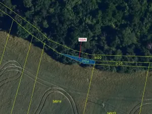 Dražba lesa, Oslavany, 52 m2