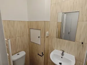 Pronájem bytu 1+kk, Praha - Hlubočepy, Na Zlíchově, 17 m2