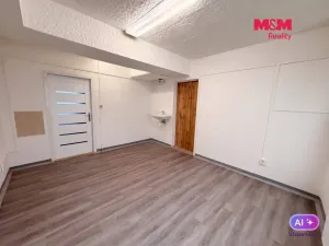 Prodej komerční nemovitosti, Bechyně, Písecká, 16 m2