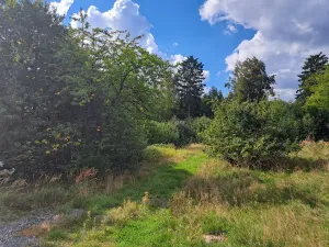Prodej pozemku, Nemojov - Nový Nemojov, 3619 m2
