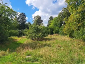 Prodej pozemku, Nemojov - Nový Nemojov, 3619 m2