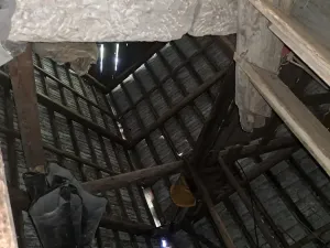 Prodej pozemku, Nemojov - Nový Nemojov, 3619 m2