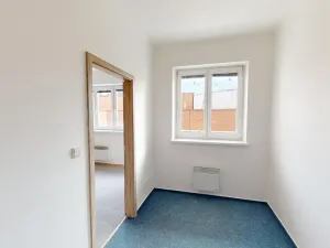 Pronájem bytu 2+1, Brno, Náplavka, 48 m2