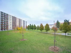 Pronájem bytu 1+1, Brno, Schwaigrova, 31 m2