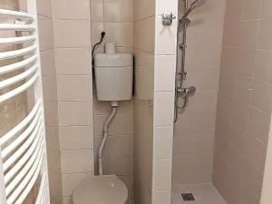 Pronájem bytu 1+1, Opava, Těšínská, 50 m2