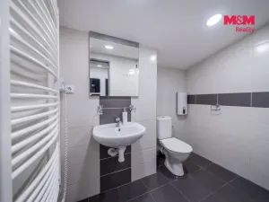 Prodej bytu 1+kk, Ostružná - Ramzová, 30 m2