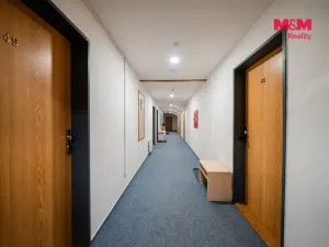 Prodej bytu 1+kk, Ostružná - Ramzová, 30 m2