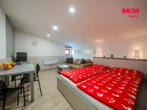 Prodej bytu 1+kk, Ostružná - Ramzová, 30 m2