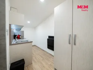 Prodej bytu 1+kk, Ostružná - Ramzová, 30 m2