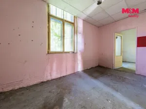 Prodej obchodního prostoru, Nová Ves - Vepřek, 600 m2