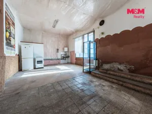 Prodej obchodního prostoru, Nová Ves - Vepřek, 600 m2