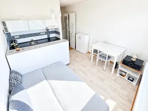 Prodej bytu 1+kk, Ústí nad Labem, SNP, 20 m2