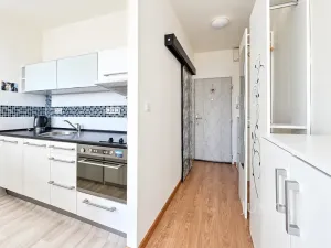 Prodej bytu 1+kk, Ústí nad Labem, SNP, 20 m2