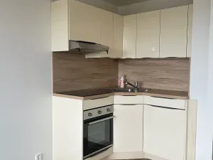 Pronájem bytu 1+kk, Praha - Chodov, Nad Opatovem, 31 m2