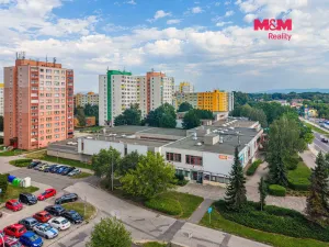 Pronájem kanceláře, Orlová - Lutyně, F. S. Tůmy, 52 m2