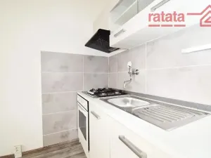 Pronájem bytu 1+1, Jirkov, Vinařická, 35 m2