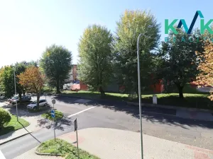 Pronájem bytu 2+1, Ostrov, Mánesova, 58 m2