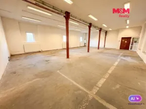 Pronájem obchodního prostoru, Varnsdorf, Melantrichova, 390 m2