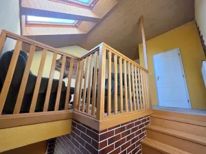 Prodej rodinného domu, Vysoká, 250 m2